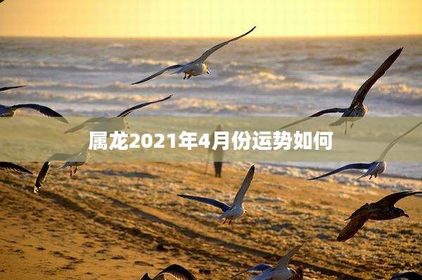 属龙2021年4月份运势如何