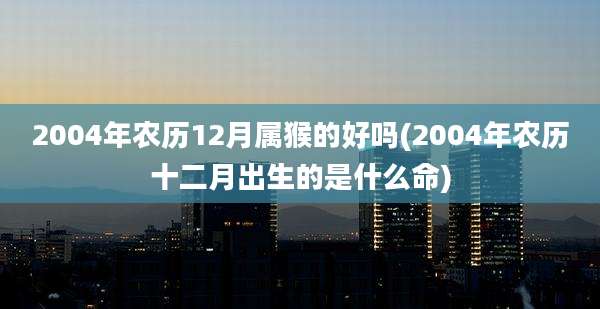 2004年农历12月属猴的好吗(2004年农历十二月出生的是什么命)