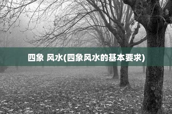 四象 风水(四象风水的基本要求)