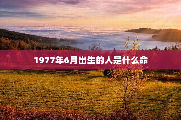 1977年6月出生的人是什么命