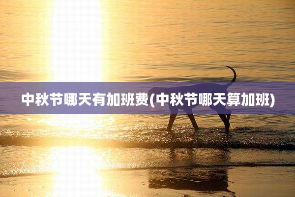 中秋节哪天有加班费(中秋节哪天算加班)
