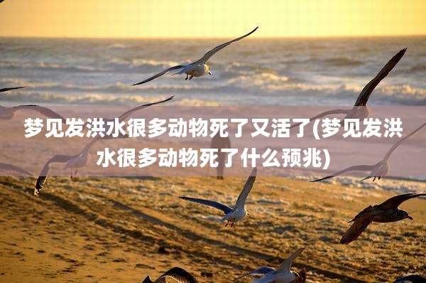 梦见发洪水很多动物死了又活了(梦见发洪水很多动物死了什么预兆)