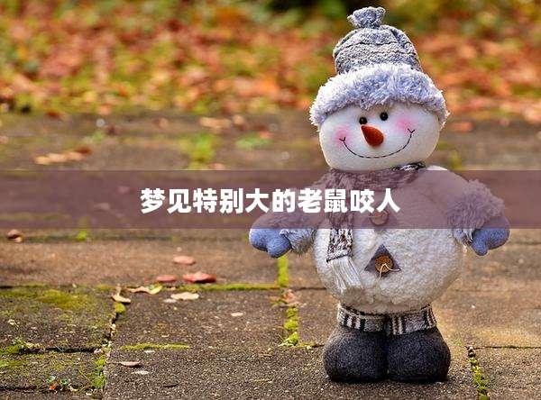 梦见特别大的老鼠咬人