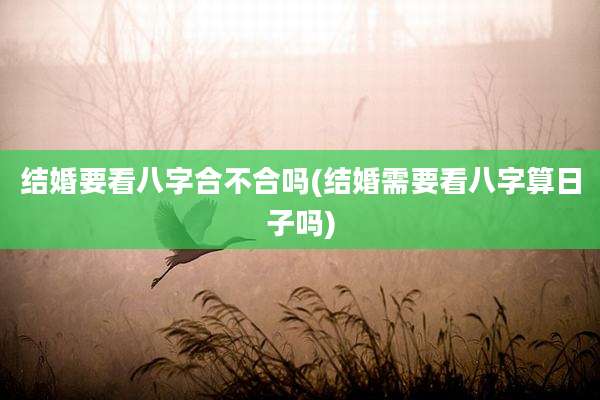 结婚要看八字合不合吗(结婚需要看八字算日子吗)