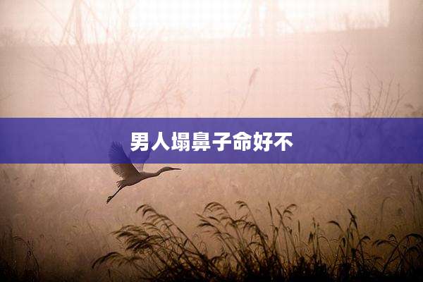 男人塌鼻子命好不