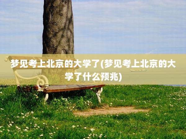 梦见考上北京的大学了(梦见考上北京的大学了什么预兆)