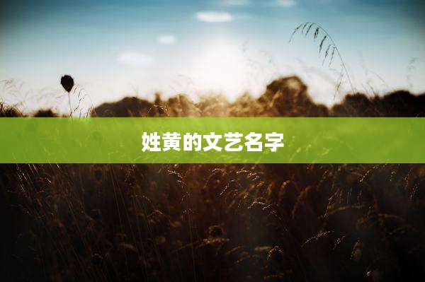 姓黄的文艺名字