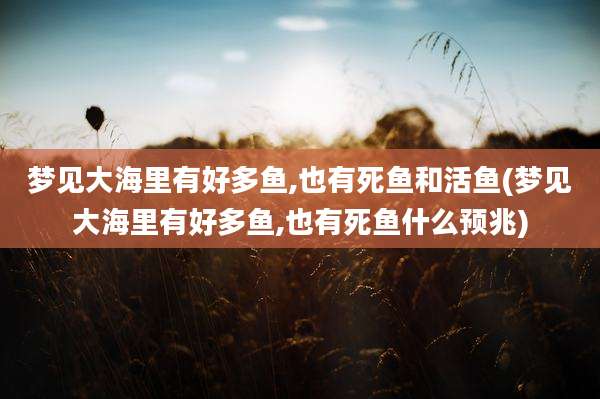 梦见大海里有好多鱼,也有死鱼和活鱼(梦见大海里有好多鱼,也有死鱼什么预兆)