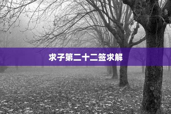 求子第二十二签求解