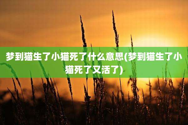梦到猫生了小猫死了什么意思(梦到猫生了小猫死了又活了)