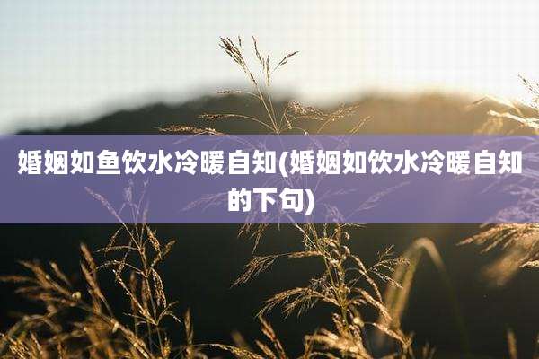 婚姻如鱼饮水冷暖自知(婚姻如饮水冷暖自知的下句)