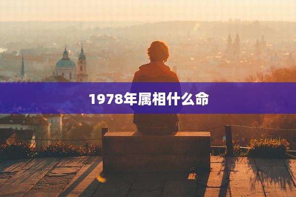 1978年属相什么命
