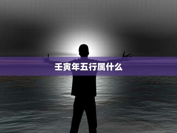 壬寅年五行属什么