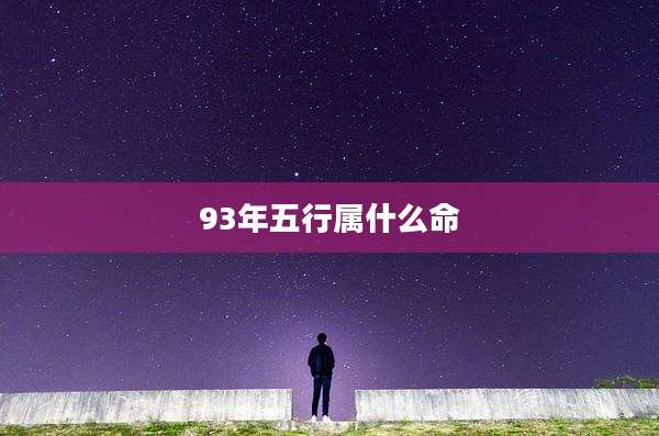 93年五行属什么命