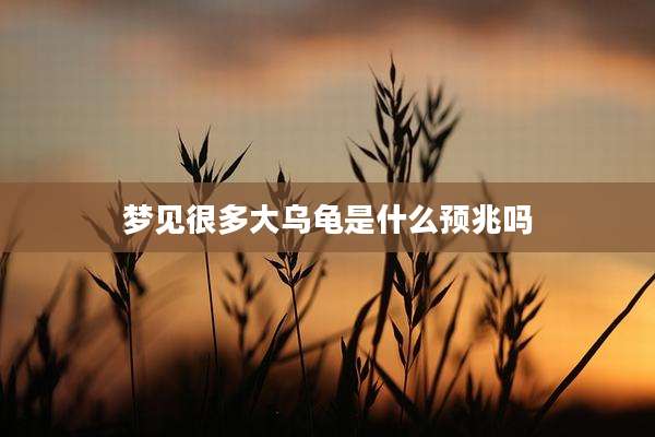 梦见很多大乌龟是什么预兆吗