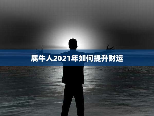 属牛人2021年如何提升财运