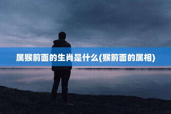 属猴前面的生肖是什么(猴前面的属相)