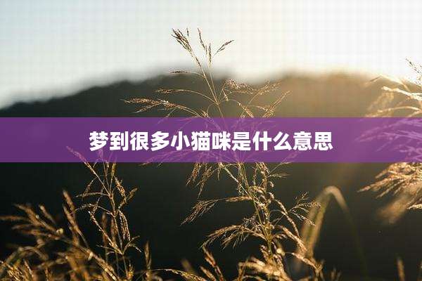 梦到很多小猫咪是什么意思