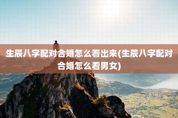 生辰八字配对合婚怎么看出来(生辰八字配对合婚怎么看男女)
