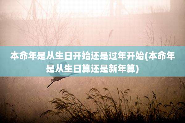 本命年是从生日开始还是过年开始(本命年是从生日算还是新年算)