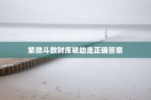 紫微斗数财库被劫走正确答案
