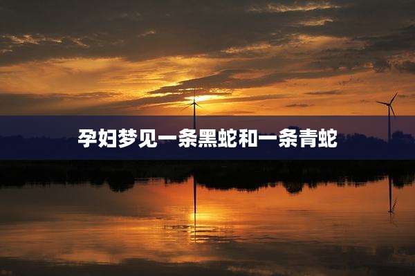 孕妇梦见一条黑蛇和一条青蛇