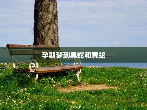 孕期梦到黑蛇和青蛇