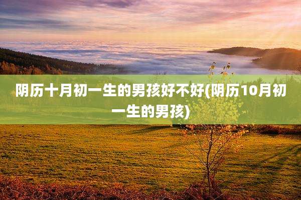 阴历十月初一生的男孩好不好(阴历10月初一生的男孩)