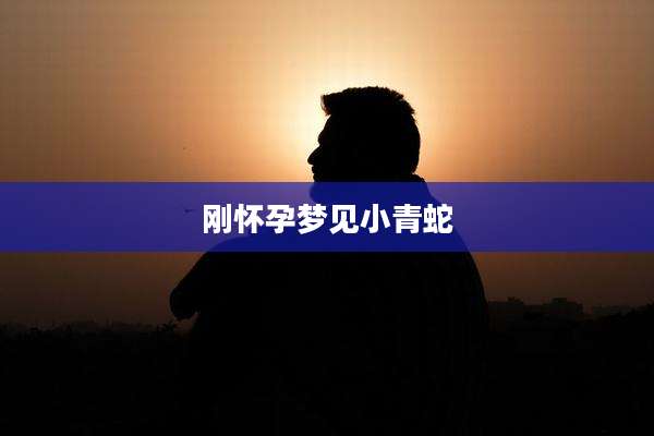 刚怀孕梦见小青蛇