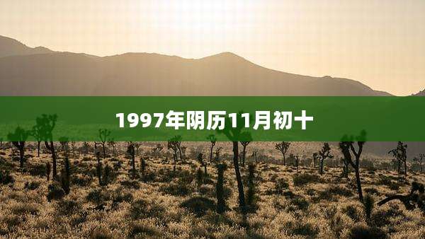 1997年阴历11月初十