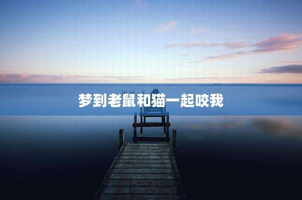 梦到老鼠和猫一起咬我