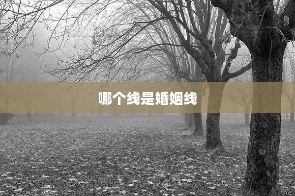 哪个线是婚姻线