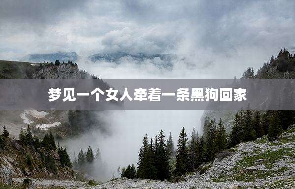 梦见一个女人牵着一条黑狗回家