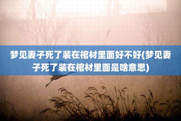 梦见妻子死了装在棺材里面好不好(梦见妻子死了装在棺材里面是啥意思)