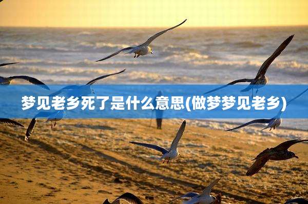 梦见老乡死了是什么意思(做梦梦见老乡)