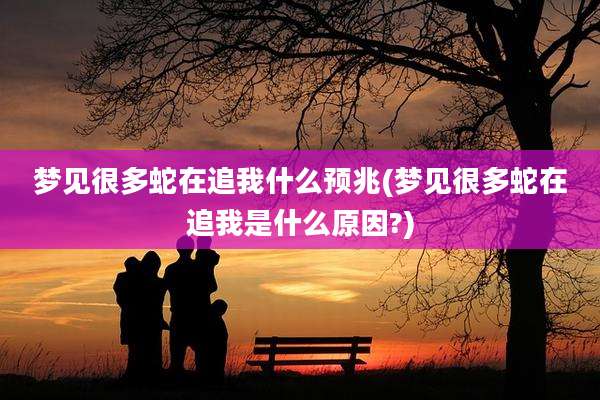 梦见很多蛇在追我什么预兆(梦见很多蛇在追我是什么原因?)