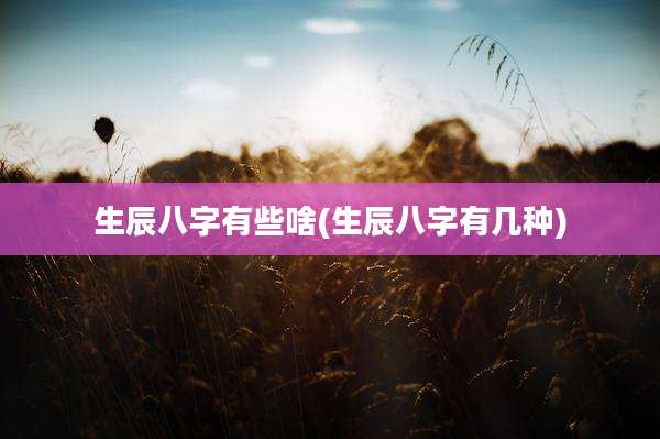 生辰八字有些啥(生辰八字有几种)