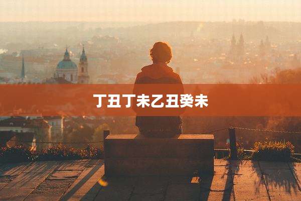 丁丑丁未乙丑癸未