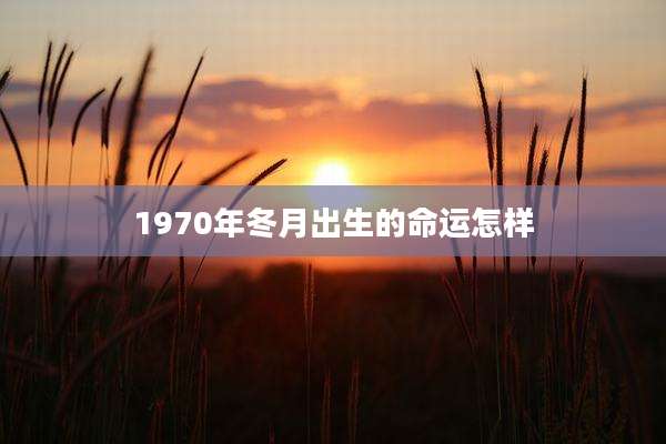 1970年冬月出生的命运怎样