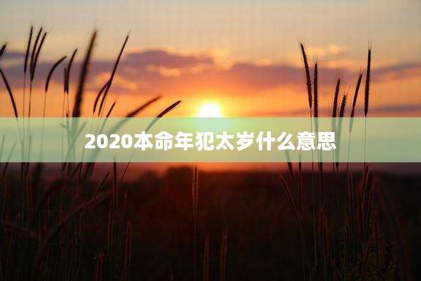 2020本命年犯太岁什么意思