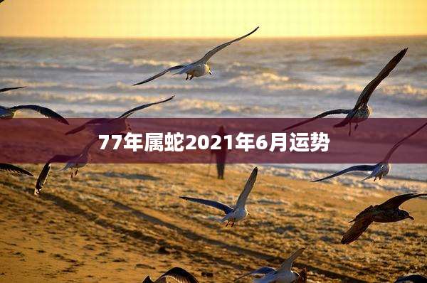 77年属蛇2021年6月运势