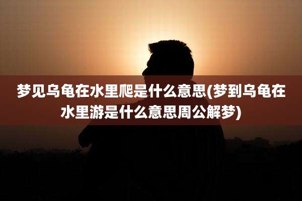 梦见乌龟在水里爬是什么意思(梦到乌龟在水里游是什么意思周公解梦)