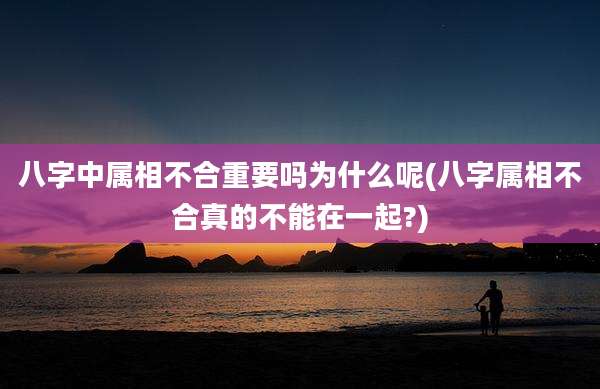 八字中属相不合重要吗为什么呢(八字属相不合真的不能在一起?)