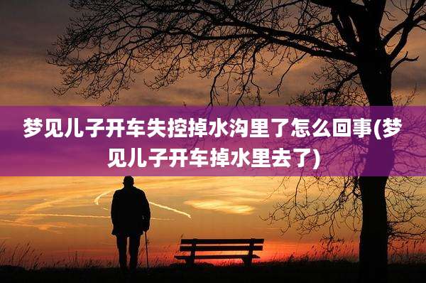 梦见儿子开车失控掉水沟里了怎么回事(梦见儿子开车掉水里去了)