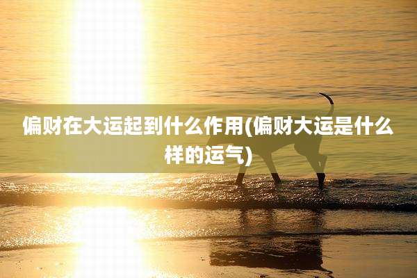 偏财在大运起到什么作用(偏财大运是什么样的运气)