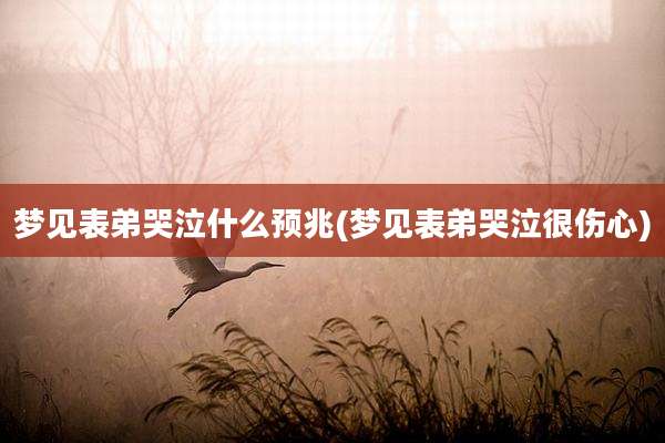 梦见表弟哭泣什么预兆(梦见表弟哭泣很伤心)
