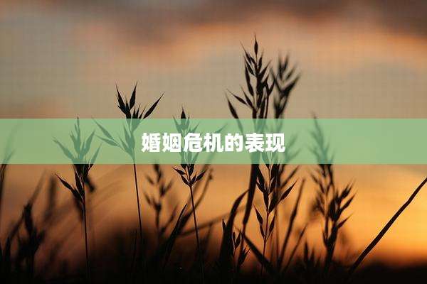 婚姻危机的表现