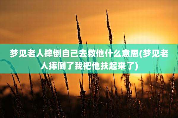 梦见老人摔倒自己去救他什么意思(梦见老人摔倒了我把他扶起来了)