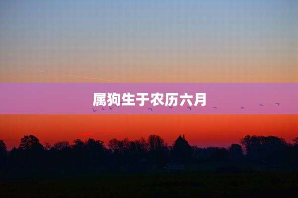 属狗生于农历六月