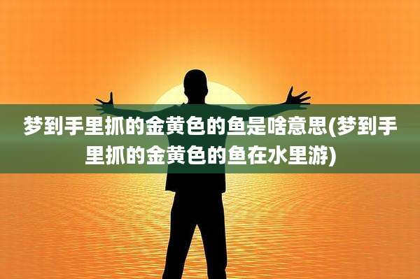 梦到手里抓的金黄色的鱼是啥意思(梦到手里抓的金黄色的鱼在水里游)